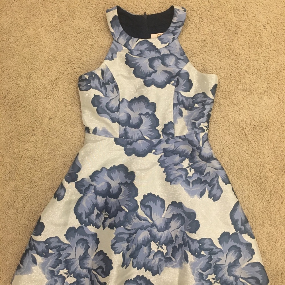Floral, Blue, & Silver Halter Dress